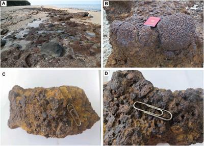 Eruption Sequences and Characteristics of Weizhou Island Volcano, Guangxi Province, South of China